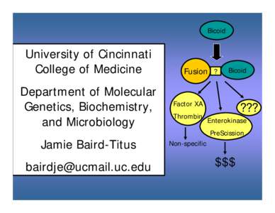Bicoid  University of Cincinnati College of Medicine Department of Molecular Genetics, Biochemistry,