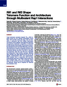 Rif1 and Rif2 Shape Telomere Function and Architecture through Multivalent Rap1 Interactions Tianlai Shi,1 Richard D. Bunker,1 Stefano Mattarocci,2 Cyril Ribeyre,2,4 Mahamadou Faty,1 Heinz Gut,1 Andrea Scrima,1,5 Ulrich 