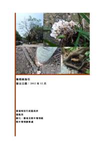 褐根病指引 發 出 日 期 ： 2012 年 12 月 香港特別行政區政府 發展局 綠化、園境及樹木管理組