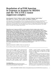 Regulation of mTOR function in response to hypoxia by REDD1 and the TSC1/TSC2 tumor suppressor complex James Brugarolas,1 Kui Lei,2 Rebecca L. Hurley,3 Brendan D. Manning,4 Jan H. Reiling,5 Ernst Hafen,5 Lee A. Witters,3