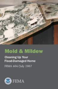 Mold & Mildew Cleaning Up Your Flood-Damaged Home FEMA 606/July 2007  The Problem With Mold
