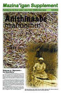 Mazina’igan Supplement Published by the Great Lakes Indian Fish & Wildlife Commission Fall[removed]Anishinaabe