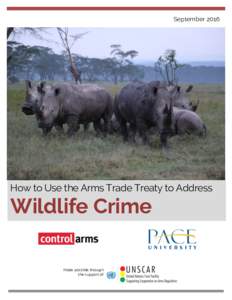 September 2016 How to Use the Arms Trade Treaty to Address