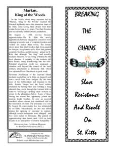 breaking the chains brochure.PUB