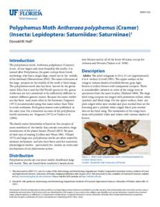 EENY-531  Polyphemus Moth Antheraea polyphemus (Cramer) (Insecta: Lepidoptera: Saturniidae: Saturniinae)1 Donald W. Hall2
