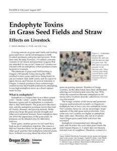 EM 8598-E • Revised August[removed]Endophyte Toxins in Grass Seed Fields and Straw Effects on Livestock S. Aldrich-Markham, G. Pirelli, and A.M. Craig