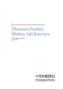 Report for the All Party Parliamentary Group on Thorium Energy  Thorium-Fuelled Molten Salt Reactors The Weinberg Foundation June 2013