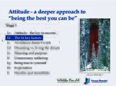 Attitude - a deeper approach to “being the best you can be” Stage 1 1a 1b
