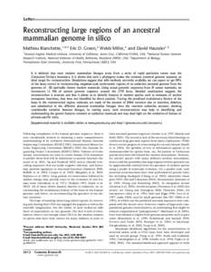 Letter  Reconstructing large regions of an ancestral mammalian genome in silico Mathieu Blanchette,1,4,5 Eric D. Green,2 Webb Miller,3 and David Haussler1,5 1