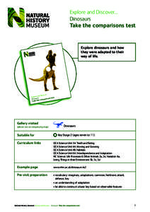 Explore and Discover… Dinosaurs Take the comparisons test Explore dinosaurs and how they were adapted to their