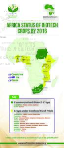 Africa Status of Biotech Crops by 2016 Sudan  Burkina Faso