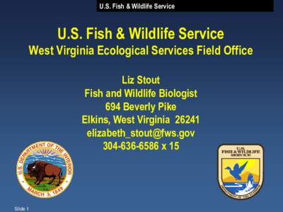 U.S. Fish & Wildlife Service  U.S. Fish & Wildlife Service West Virginia Ecological Services Field Office Liz Stout Fish and Wildlife Biologist