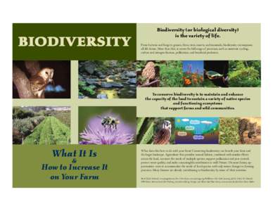 BIODIVERSITY  Biodiversity (or biological diversity) is the variety of life. From bacteria and fungi to grasses, ferns, trees, insects, and mammals, biodiversity encompasses all life forms. More than that, it covers the 