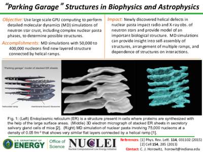 “Parking	
  Garage” Structures	
  in	
  Biophysics	
  and	
  Astrophysics	
   	
  	
  	
  	
  	
  	
  	
  	
  	
  	
  	
  	
  	
  	
  	
  	
  Newly	
  discovered	
  helical	
  defects	
  in	