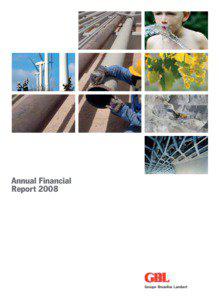 GDF Suez / Financial ratios / Suez Environnement / Suez / Enel / Equity / Dividend / Lafarge / Free cash flow / Finance / Financial economics / Business