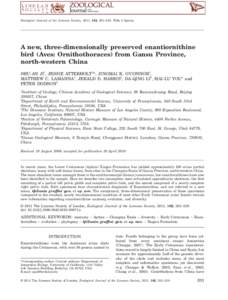 Zoological Journal of the Linnean Society, 2011, 162, 201–219. With 5 figures  A new, three-dimensionally preserved enantiornithine