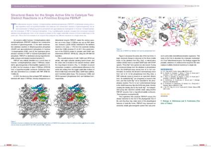 3 Chemical and Environmental Science  PF Activity Report 2011 #29 Structural Basis for the Single Active Site to Catalyze Two Distinct Reactions in a Primitive Enzyme FBPA/P