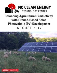 Balancing Agricultural Productivity with Ground-Based Solar Photovoltaic (PV) Development 