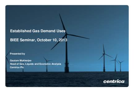 Established Gas Demand Uses BIEE Seminar, October 10, 2013 Presented by  Gautam Mukherjee