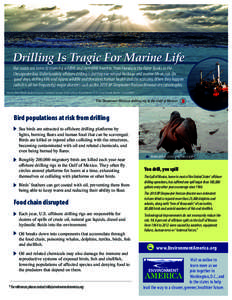 Drilling Is Tragic For Marine Life Our coasts are home to stunning wildlife and incredible beaches, from Florida to the Outer Banks to the Chesapeake Bay. Unfortunately offshore drilling is putting our natural heritage a