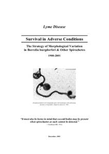 Lyme Disease  Survival in Adverse Conditions The Strategy of Morphological Variation in Borrelia burgdorferi & Other Spirochetes[removed]
