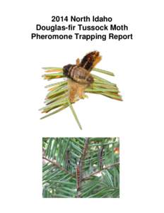 2014 North Idaho Douglas-fir Tussock Moth Pheromone Trapping Report Table of Contents Background and History