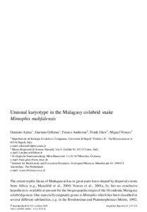 Unusual karyotype in the Malagasy colubrid snake Mimophis mahfalensis