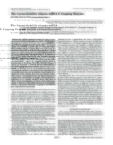 THE JOURNAL OF BIOLOGICAL CHEMISTRY © 2003 by The American Society for Biochemistry and Molecular Biology, Inc. Vol. 278, No. 16, Issue of April 18, pp –14184, 2003 Printed in U.S.A.