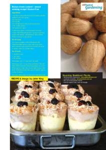 Bunya cream custard – award winning recipe! Gluten Free Ingredients 1 kg Bunya nuts boiled for about 20 minutes and then shelled to give 600 grams 500 ml cream