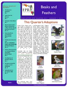 FPR Newsletter Q4 2011.pub