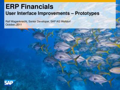 ERP Financials User Interface Improvements – Prototypes Ralf Wagenknecht, Senior Developer, SAP AG Walldorf October, 2011  Legal Disclaimer