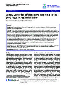 A new vector for efficient gene targeting to the pyrG locus in Aspergillus niger