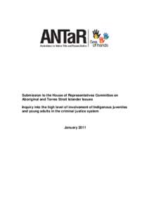 Submission to the House of Representatives Committee on Aboriginal and Torres Strait Islander Issues Inquiry into the high level of involvement of Indigenous juveniles and young adults in the criminal justice system  Jan