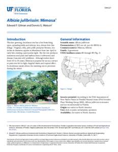 ENH227  Albizia julibrissin: Mimosa1 Edward F. Gilman and Dennis G. Watson2  Introduction