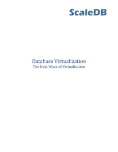 Database Virtualization The Next Wave of Virtualization Introduction Virtualization has taken the computing world by storm. Server virtualization was the front of the virtualization wave, but we are now seeing a strong 