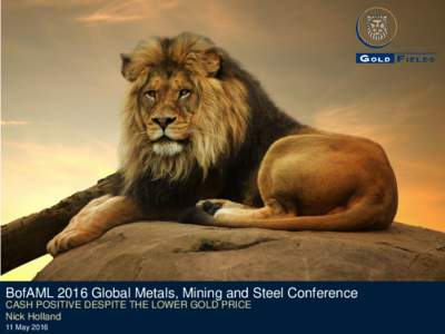 BofAML 2016 Global Metals, Mining and Steel Conference CASH POSITIVE DESPITE THE LOWER GOLD PRICE Nick Holland 11 May 2016  Forward looking statements