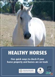 HEALTHY HORSES Five quick ways to check if your horse property and horses are on track Horse Owners of the Southern Mount Lofty Ranges