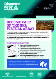 Image: NASA, ESA, and the Hubble SM4 ERO Team  BECOME PART OF THE SKA VIRTUAL ARRAY The SKA will be made of many clusters of dishes called ‘array stations’. You can build your own array