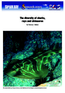 The diversity of sharks, rays and chimaeras By Terence I. Walker The eastern fiddler ray (Trygonorrhina sp., order Rajiformes) (© Ken Hoppen, [removed])