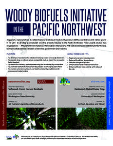 WOODY BIOFUELS INITIATIVE IN THE PACIFIC NORTHWEST PURPOSE  LONG-TERM BENEFITS