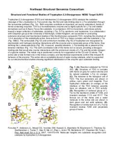 Northeast Structural Genomics Consortium Structural and Functional Studies of Tryptophan 2,3-Dioxygenase: NESG Target XcR13 Tryptophan 2,3-dioxygenase (TDO) and indoleamine 2,3-dioxygenase (IDO) catalyze the oxidative cl