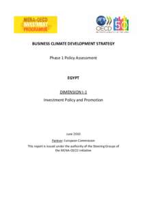 BUSINESS CLIMATE DEVELOPMENT STRATEGY Phase 1 Policy Assessment EGYPT DIMENSION I-1 Investment Policy and Promotion