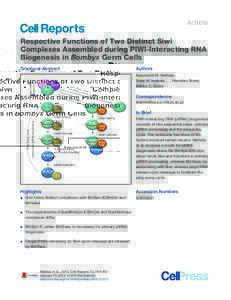 Article  Respective Functions of Two Distinct Siwi Complexes Assembled during PIWI-Interacting RNA Biogenesis in Bombyx Germ Cells Graphical Abstract