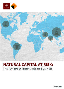 NATURAL CAPITAL AT RISK:  THE TOP 100 EXTERNALITIES OF BUSINESS APRIL 2013