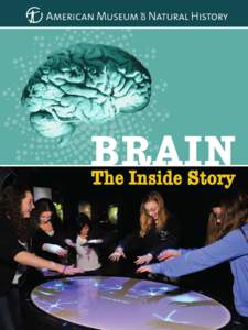 Brain / Organs / Functional magnetic resonance imaging / Human brain / Neuron / Anatomy / Biology / Neuroimaging