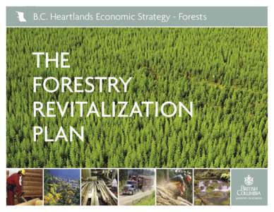 B.C. Heartlands Economic Strategy - Forests  THE FORESTRY REVITALIZATION PLAN