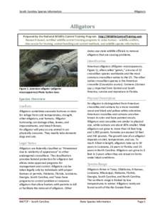 South Carolina Species Information  Alligators Alligators Prepared by the National Wildlife Control Training Program. http://WildlifeControlTraining.com