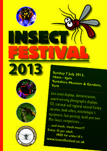 Insect Festival 2009 + RES