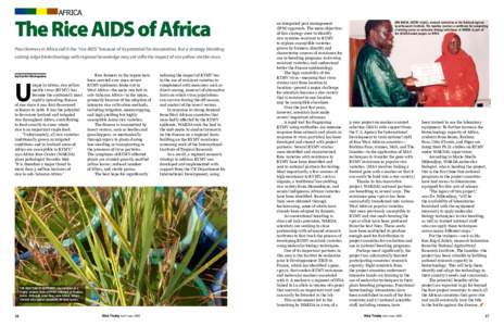 africa  Poor farmers in Africa call it the “rice AIDS” because of its potential for devastation. But a strategy blending cutting-edge biotechnology with regional knowledge may yet stifle the impact of rice yellow mot
