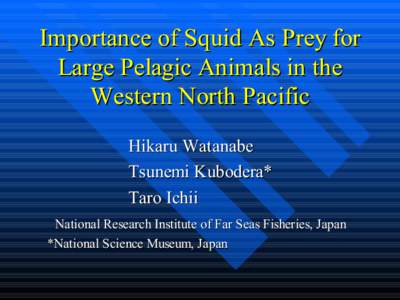 Importance of Squid As Prey for Large Pelagic Animals in the Western North Pacific Hikaru Watanabe Tsunemi Kubodera* Taro Ichii